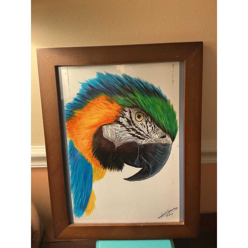 Signed 2019 Macaw Parrot Portrait Art on Kodak Film Framed 10x13 Tropical Bird - Picture 1 of 7